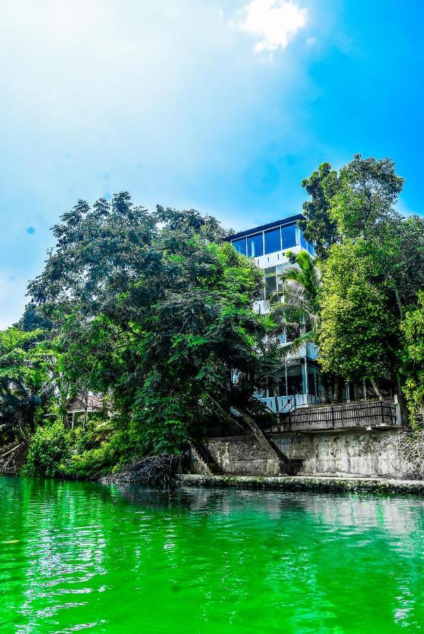 Villa Araliya Хиккадува Экстерьер фото