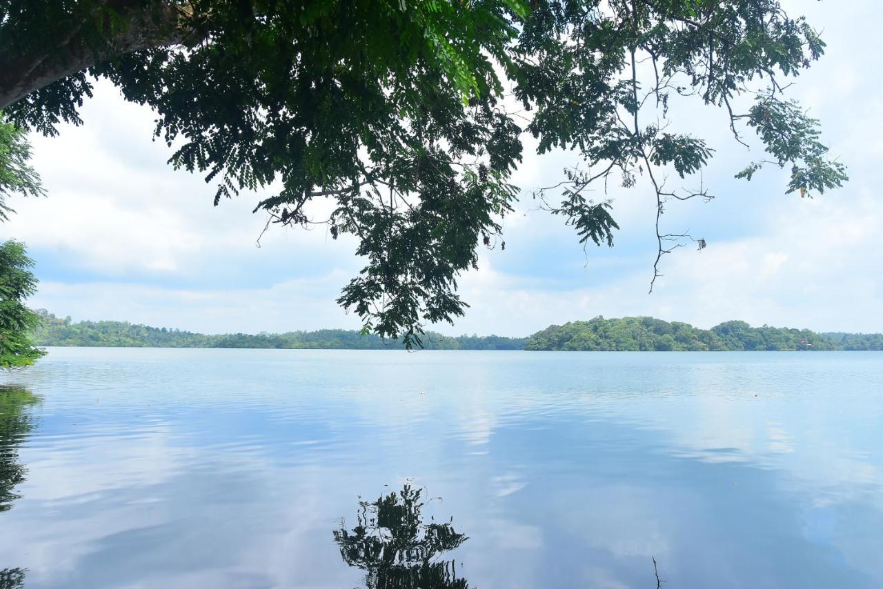 Villa Araliya Хиккадува Экстерьер фото