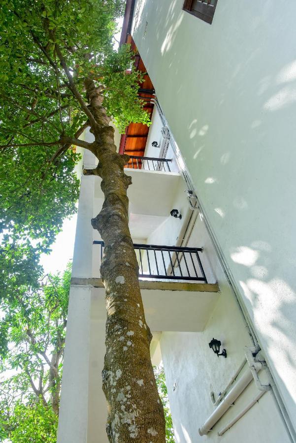 Villa Araliya Хиккадува Экстерьер фото